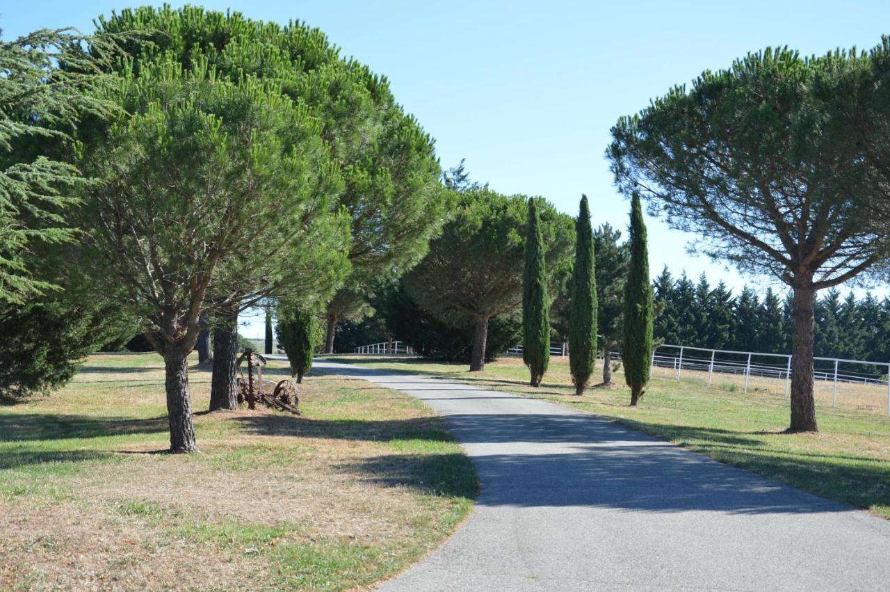 Les Moineaux Du Domaine Du Moulin Villa Etables  Dış mekan fotoğraf